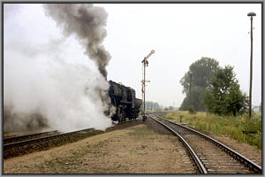 52 8141 in Casekow