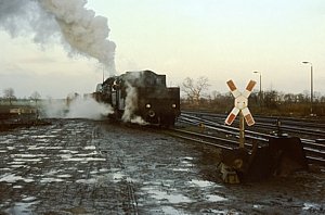 50 3556 in Langenweddingen