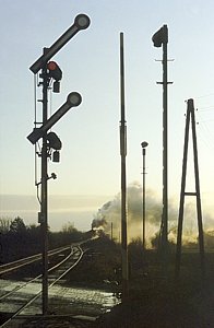 50 3556 in Langenweddingen
