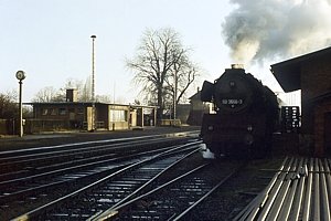 50 3556 in Langenweddingen