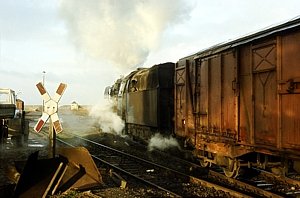 50 3556 in Langenweddingen