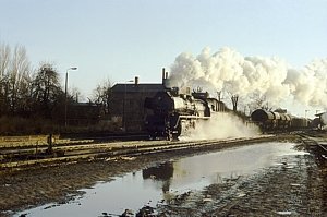 50 3606 in Langenweddingen