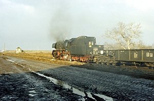 50 3606 in Langenweddingen