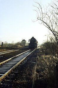 50 3606 in Langenweddingen