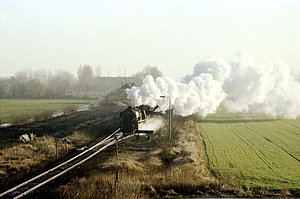50 3606 in Langenweddingen