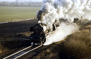 50 3606 in Langenweddingen