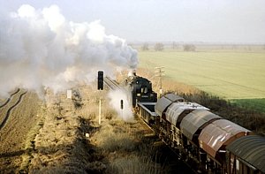 50 3606 in Langenweddingen