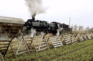 50 3556 in Blumenberg