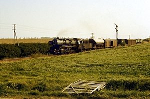50 3662 in Blumenberg