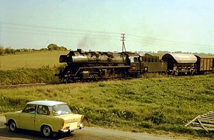 50 3662 in Blumenberg