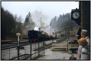 99 5906 in Alexisbad
