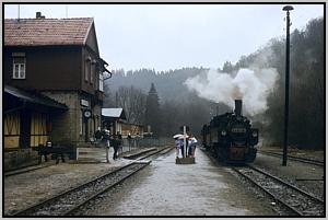 99 5906 in Alexisbad