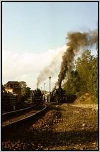 86 1501 und 50 3696 in Waltersdorf