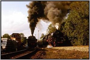 86 1501 und 50 3696 in Waltersdorf