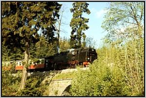 99 7231 in Elend