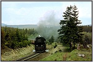 99 7231 zwischen Elend und Sorge