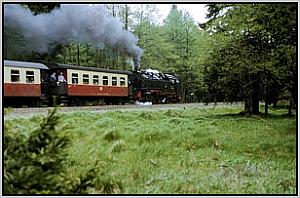 99 7239 bei Allerbach