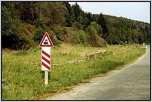 alter Bf in Sorge