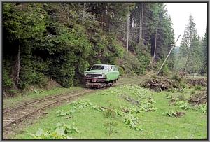 Wolga-Draisine im Tal der Groen Boska