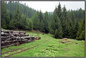 Ladestelle am Holumpa