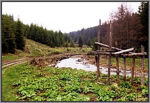 Panorama von Mainicica