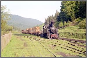764 001 in Siclau