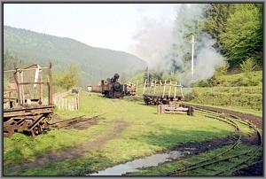 764 001 in Siclau