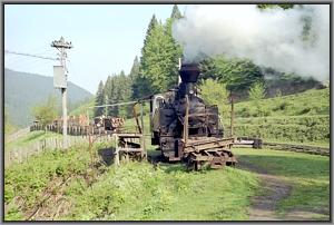 764 001 in Siclau