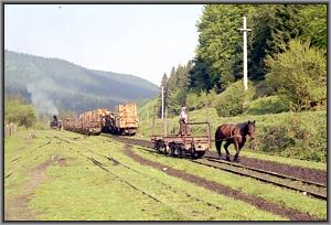764 001 in Siclau