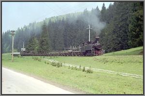 764 001 mit dem P-Zug zwischen Covasna und Siclau