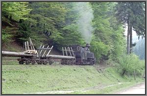 764 001 mit dem P-Zug zwischen Covasna und Siclau