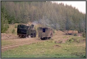 764 379 beim Wassernehmen in Gor