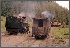 764 379 beim Wassernehmen in Gor