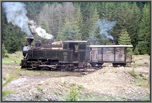 764 379 beim Wassernehmen in Gor