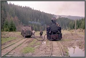 764 379 beim Wassernehmen in Gor