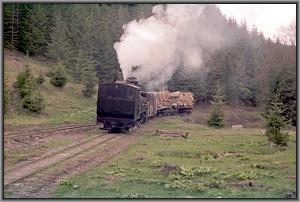 764 379 beim Wassernehmen in Gor