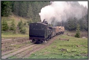 764 379 beim Wassernehmen in Gor