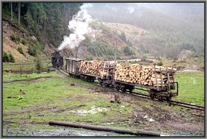 764 379 beim Wassernehmen in Dealu Negru