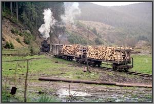 764 379 beim Wassernehmen in Dealu Negru