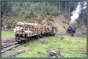 764 379 beim Wassernehmen in Dealu Negru