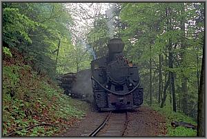 764 379 in Siclau