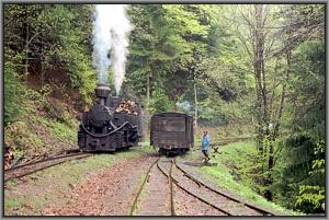 764 379 in Siclau