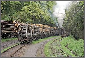 764 379 in Siclau