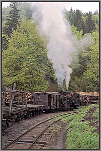 764 379 in Siclau