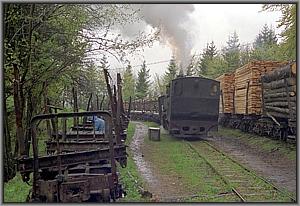 764 379 in Siclau