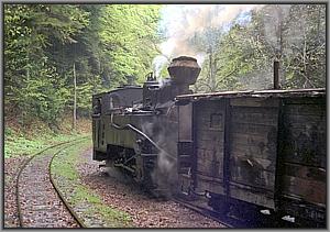 764 379 in Siclau