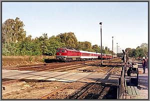 Zum Vergrößern auf das Bild klicken! Dort können Sie auch blättern und die Bildunterschriften lesen! 132 534 mit IC 601 nach Basel in Gerwisch