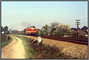219 029 mit Ng 66420 hinter Neustadt (Orla)