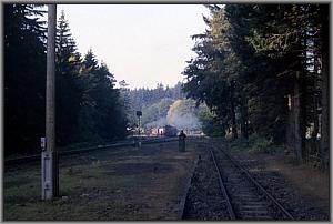 99 7234 in Drei Annen Hohne