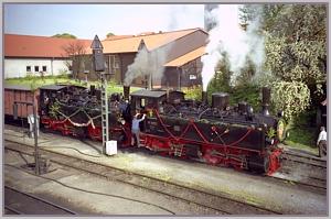 Sonderzug in Wernigerode